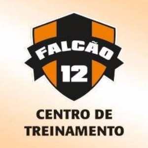 Escudo da equipe Falco 12 - Bolo - Sub 14