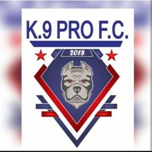 Escudo da equipe K9 Pro FC - Sub 11