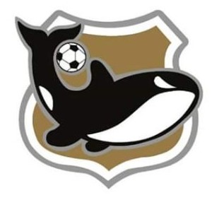 Escudo da equipe Meninos da Vila Jabaquara - Sub 17