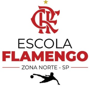 Escudo da equipe Flamengo Zona Norte - Sub 10