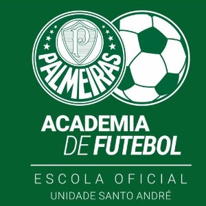 Escudo da equipe Palmeiras Academia Sto. Andr - Sub 14