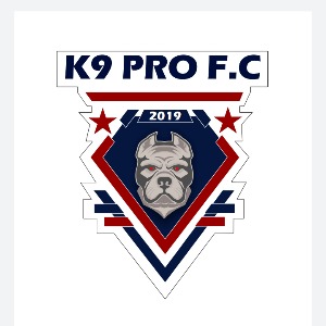 Escudo da equipe K9 PRO FC