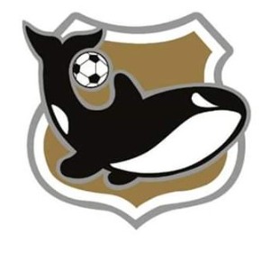 Escudo da equipe Meninos da Vila Santos - 16
