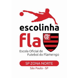 Escudo da equipe Flamengo Zona Norte - Sub 08