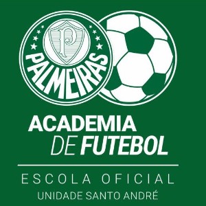 Escudo da equipe Palmeiras Academia Sto. Andr - Sub 10