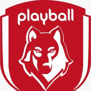 Escudo da equipe Playball Jnior - Sub 16